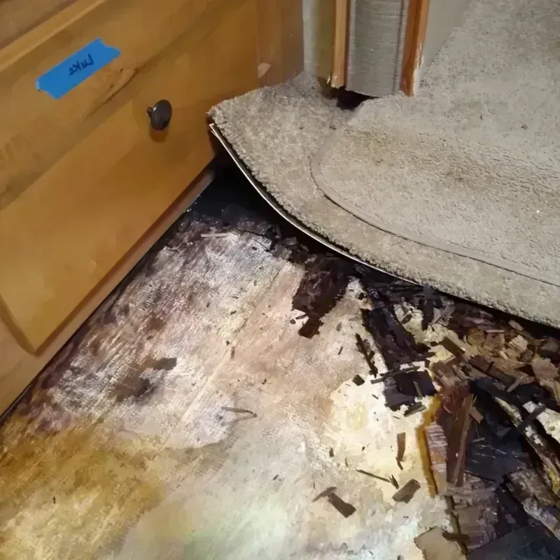 Best Wood Floor Water Damage Service in Ormond Beach, FL